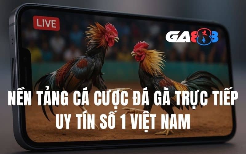 GA888 là nền tảng cá cược trực tuyến uy tín hàng đầu Việt Nam GA888 là nền tảng cá cược trực tuyến uy tín hàng đầu Việt Nam