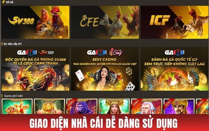 Nhà cái giao diện đẹp mắt dễ dàng sử dụng Nhà cái giao diện đẹp mắt dễ dàng sử dụng